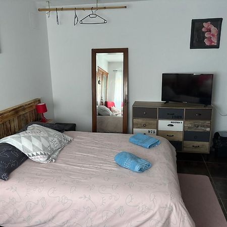 Bed and Breakfast Proprietaire Prive Carcassonne Exterior foto